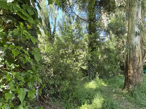 Terreno en Venta en Barrio Bosque Peralta Ramos, USD 37.000