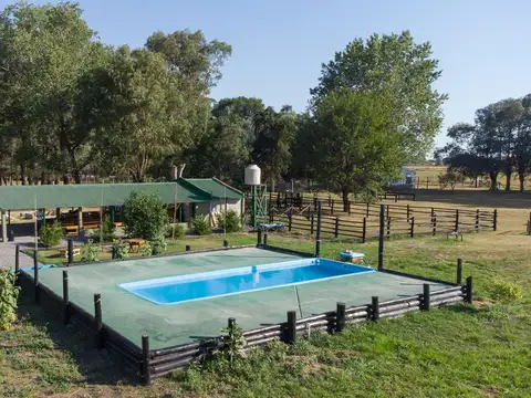Arata y Nahuel Huapí