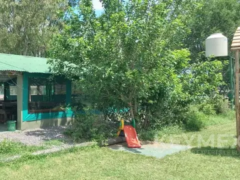 Arata y Nahuel Huapí