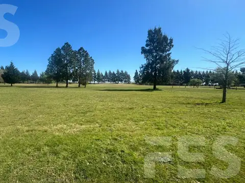 Barrio Fincas de San Vicente Golf