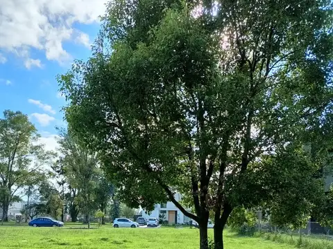 Terreno en Venta de 724,0 m2