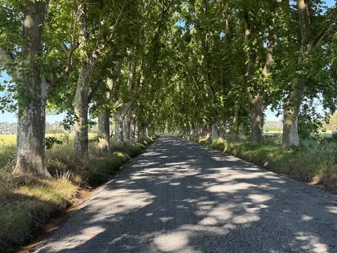 TERRENO EN VENTA - AZAHARES DEL PARANA