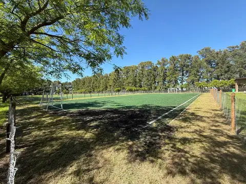 Azahares del Paraná