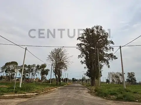 Terreno en Venta de 320,0 m2