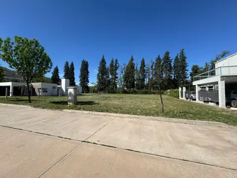 Terreno - Venta - Argentina, Juana Koslay - boulevard los nogales 1636