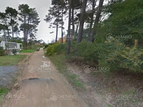 Terreno en Venta de 600,0 m2