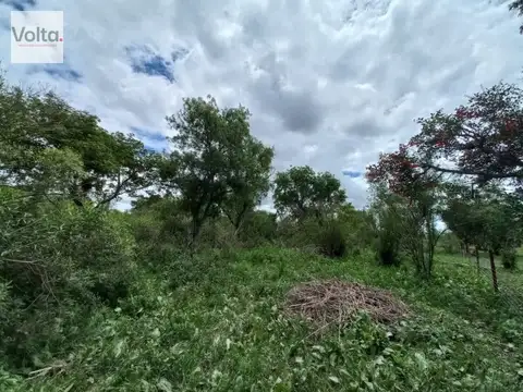 Navarro 80