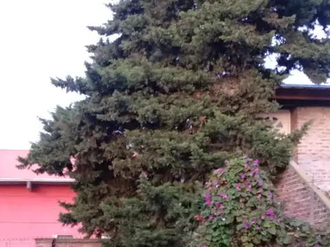 Casa en Venta de 6 dormitorios