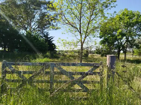 TERRENOS EN B ARRIO LOS CACHORROS  CALLE 73 ENTRE 253 Y 254  ETCHEVERRY