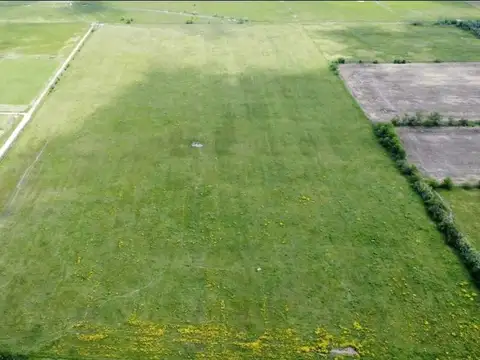 VENTA  CAMPO 16HAS - NAVARRO, PROVINCIA DE BUENOS AIRES