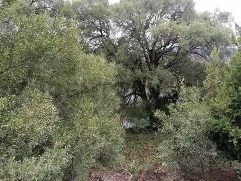 Terreno en Venta en Villa Vega San Martin, USD 50.000