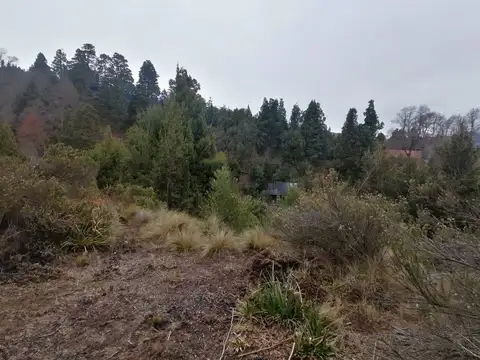 VENTA DE LOTE - LOS RISCOS - SAN MARTIN DE LOS ANDES
