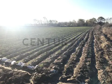 FINCA EN VENTA SAN CARLOS