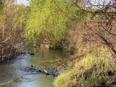 FINCA EN VENTA SAN CARLOS