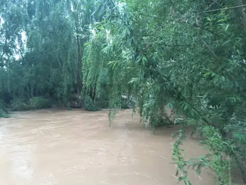 Ruta 40