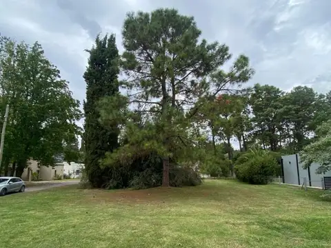 Terreno - Venta - Argentina, San Vicente - Av. Presidente Peron 3300