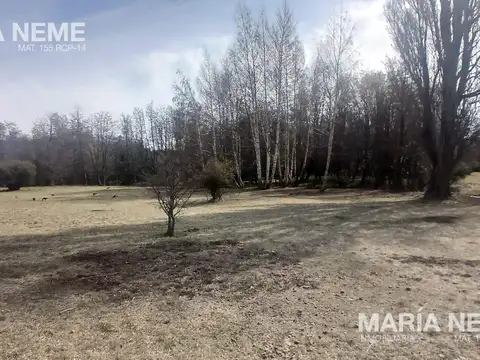 Terreno en Venta 60  mts Fondo