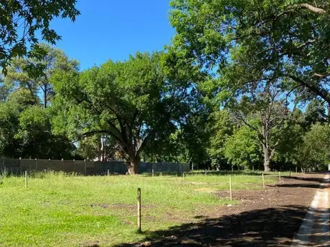 Terreno en Venta de 203,0 m2