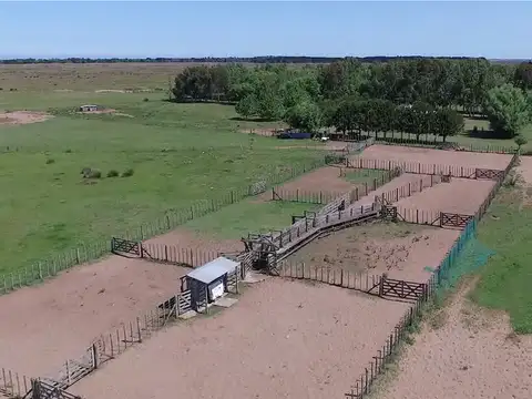 336 Hectáreas ganaderos en Rincon de Cobos