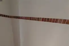 Emprendimiento en Almagro Sur