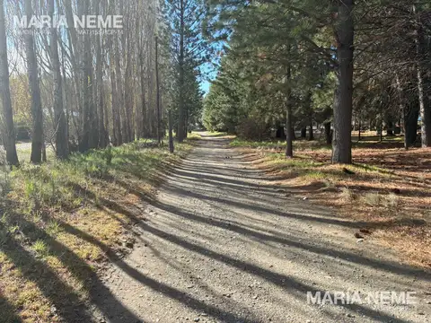 Terreno en Venta 83  mts Fondo