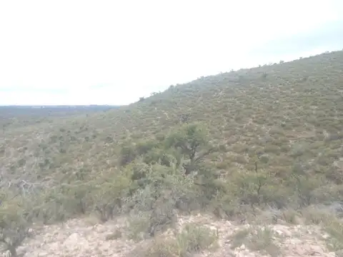 El Recuerdo