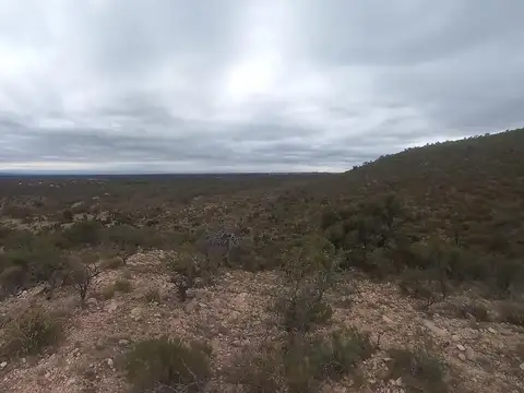 Campo en Venta en Papagayos, Chacabuco