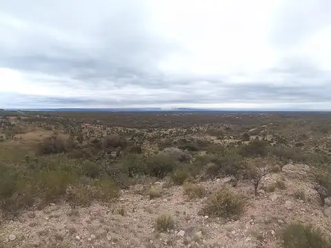 El Recuerdo