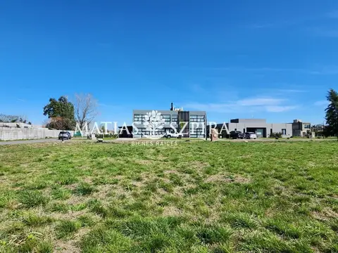 Carola Lorenzini 4600