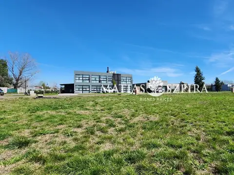 Carola Lorenzini 4600