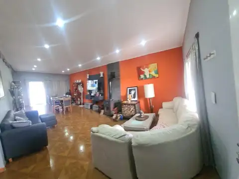 Domselaar Chico