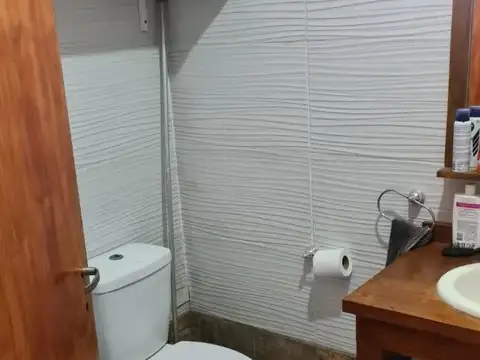 Domselaar Chico