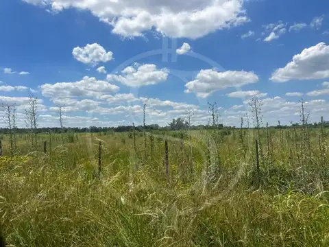 CAMPO EN VENTA ETCHEGOYEN 5.2 HECTAREAS