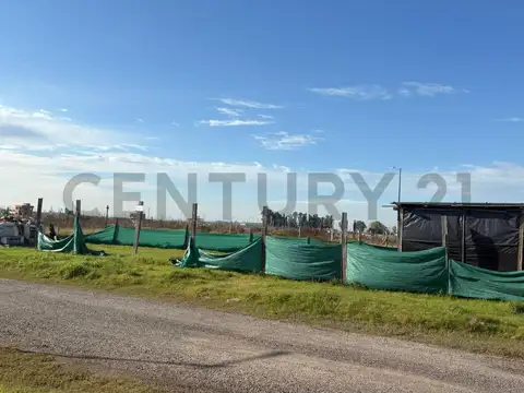 Nestor Kirchner 11300, Piso 0