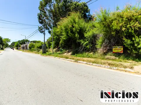 Lote: Carreras E/ Zapiola y Echeverria - El Silvio - B630