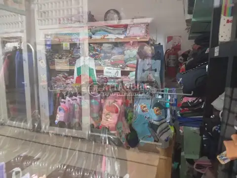 NOGUERA 100