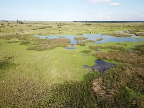 Campo en Venta de 200  ha