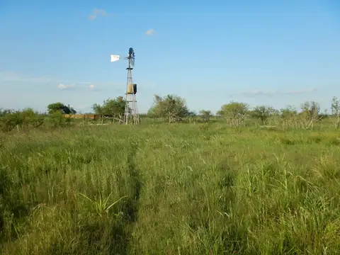 Campo en Venta con Alambrado