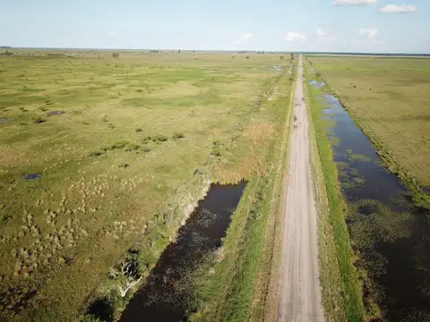 Campo en Venta Ganadero
