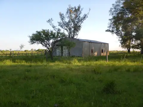 Campo en Venta de 200  ha