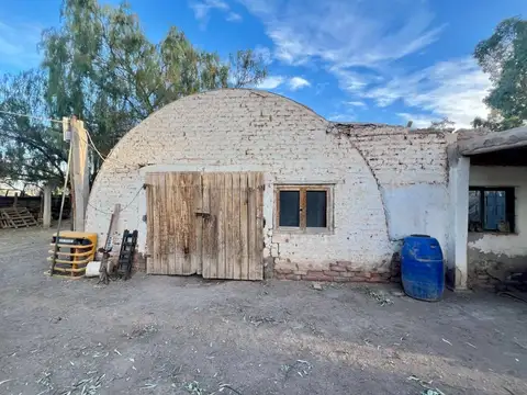 Venta Campo Agrícola Tres de Mayo Lavalle Mendoza