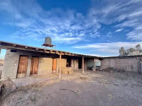 Venta Campo Agrícola Tres de Mayo Lavalle Mendoza