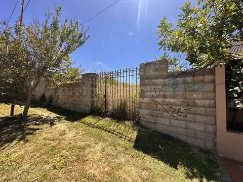 JUAREZ 100