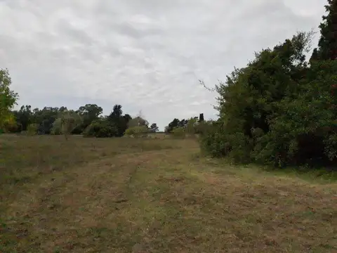 Terreno en venta - 10.575Mtss2 - Berisso