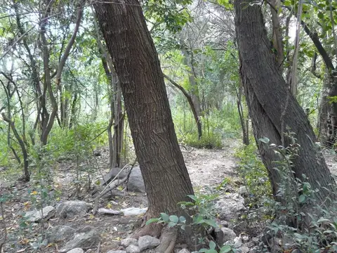 Terreno en venta - 1509.30Mts2 - Merlo