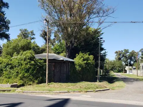 gaona 4100