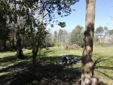 José Mármol e/ Pérez Galdós y Florencio Sánchez