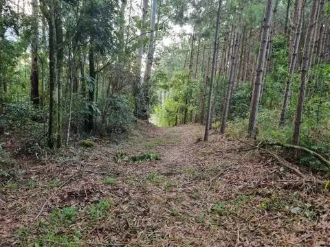 Terreno en Venta en San Vicente, Guaraní
