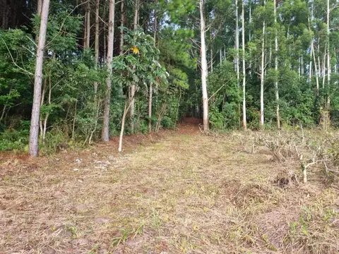 Terreno en Venta de 100000,0 m2