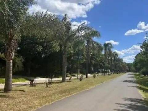 Barrio Santa Ana